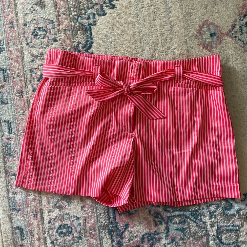 LOFT Pink Stripe Tie Waist Short Size 12